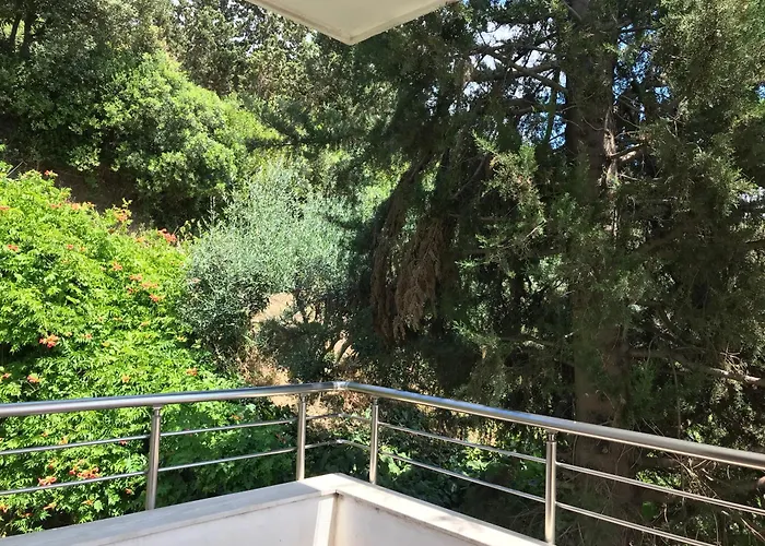 Bumblebee Вилла